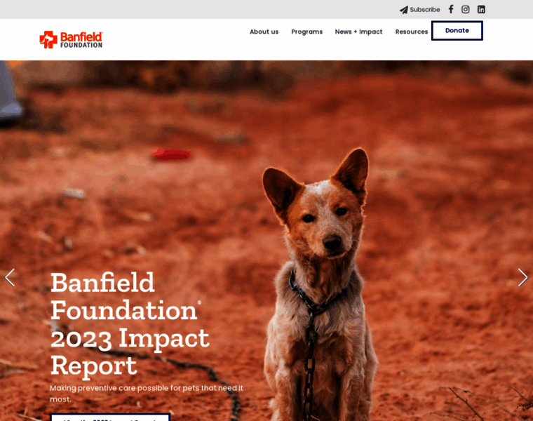 Banfieldfoundation.org thumbnail Banfieldfoundation.org thumbnail