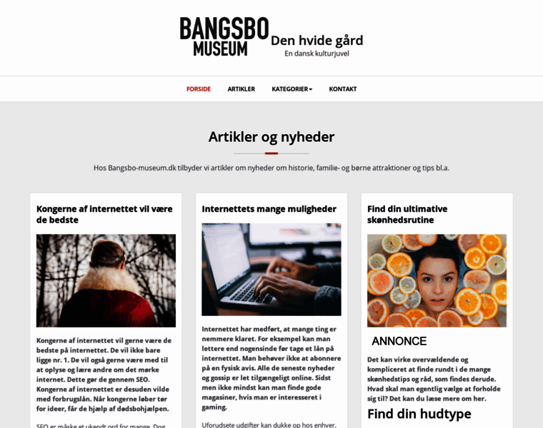 Bangsbo-museum.dk thumbnail