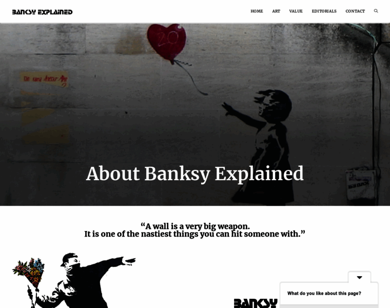 Banksyexplained.com thumbnail