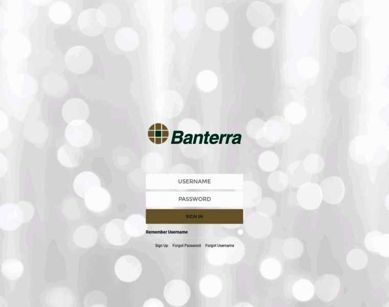 Banterra.myebanking.net thumbnail