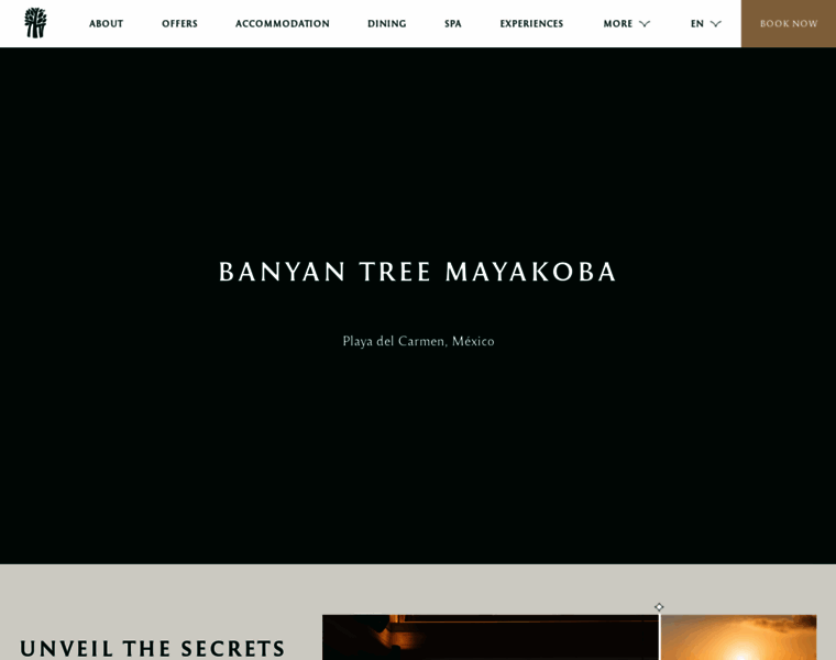 Banyantreemayakoba.com thumbnail