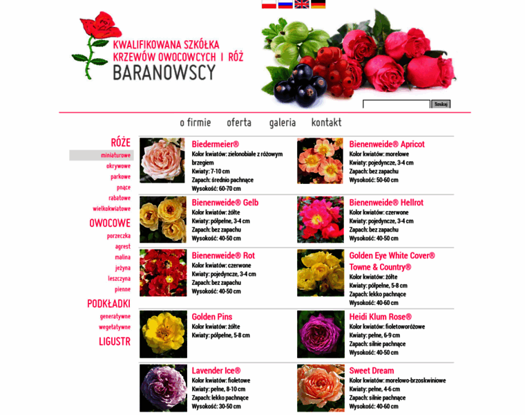 Baranowscy.com.pl thumbnail