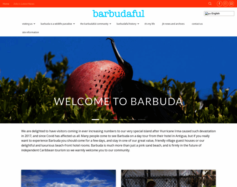 Barbudaful.net thumbnail
