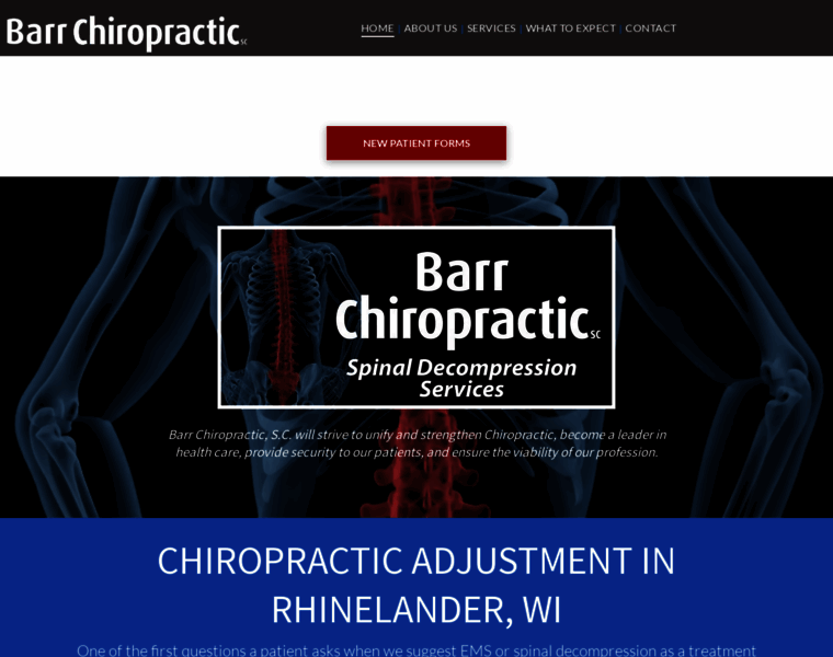 Barrchiropracticsc.com thumbnail