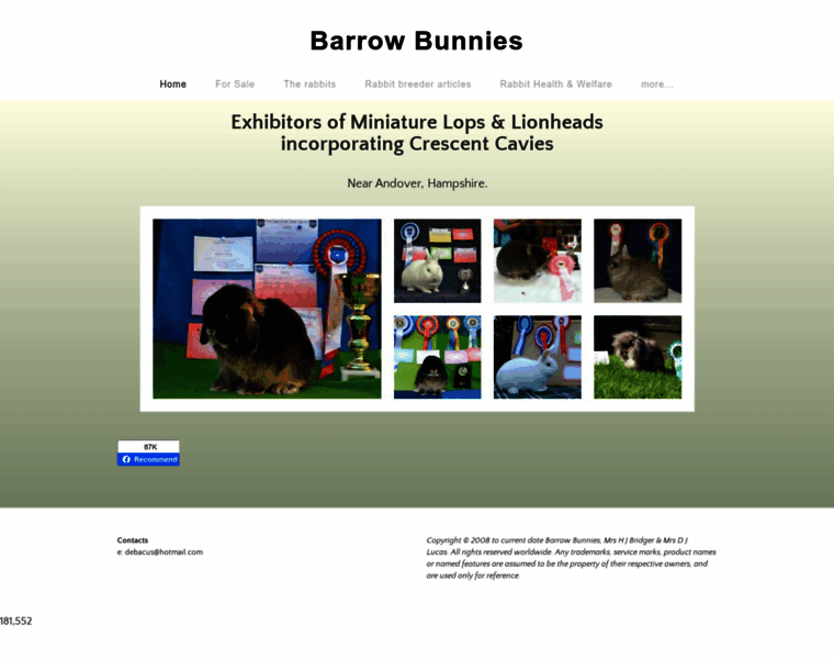 Barrowbunnies.com thumbnail