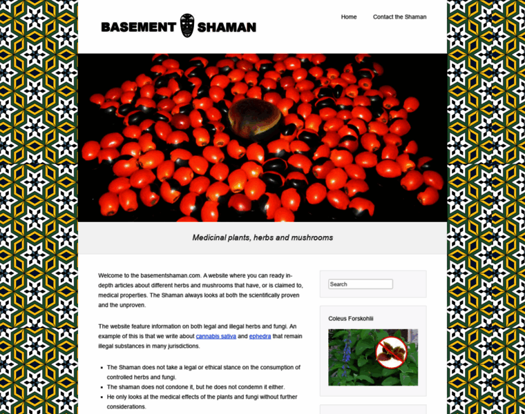 Basementshaman.com thumbnail