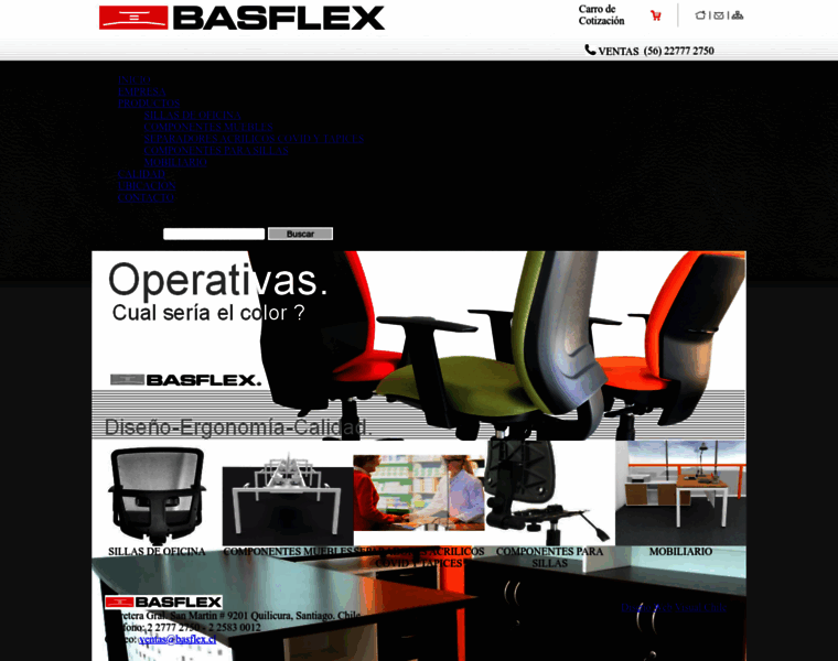 Basflex.cl thumbnail