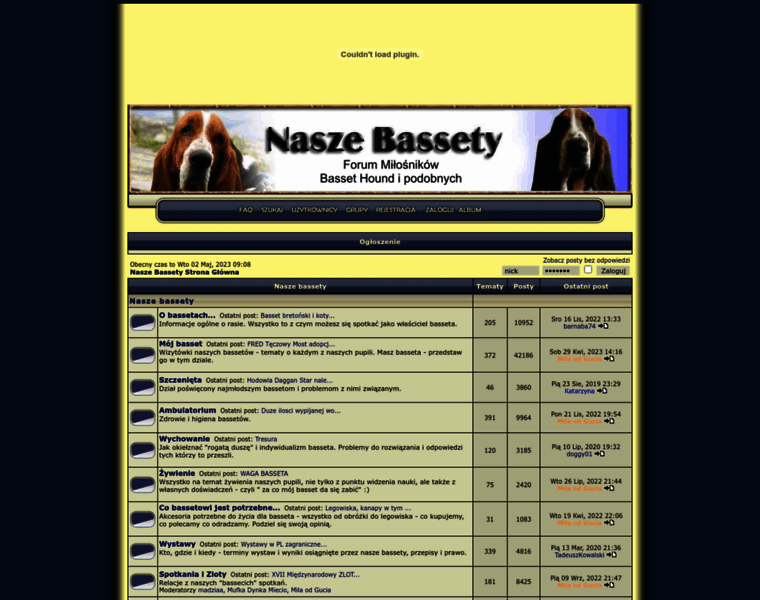 Bassety.net thumbnail