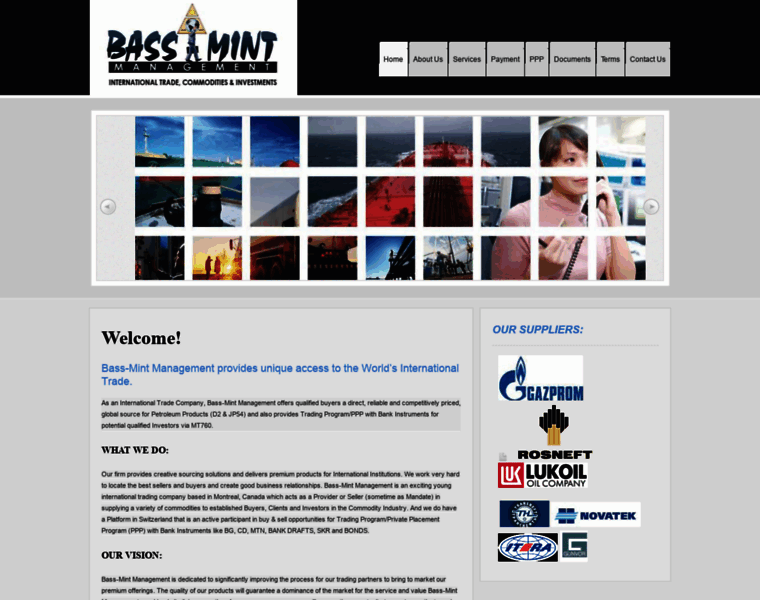 Bassmintmanagement.com thumbnail
