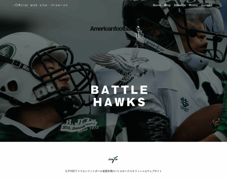Battlehawks.com thumbnail