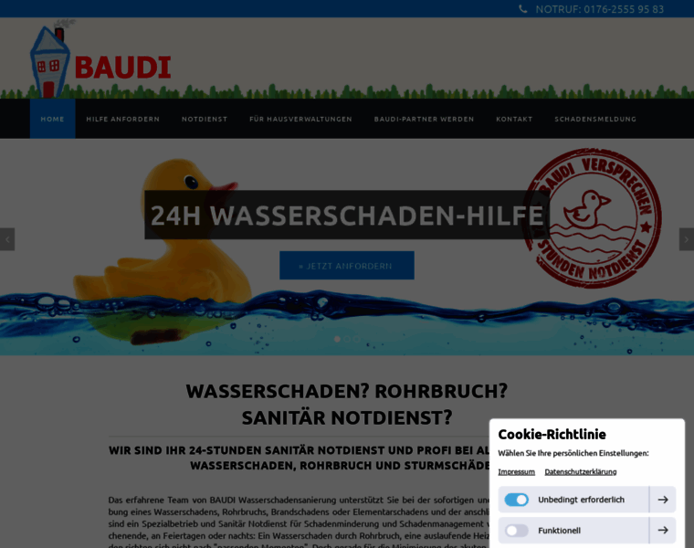 Baudi-wasserschaden.com thumbnail