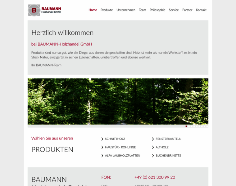 Baumann-holzhandel.de thumbnail