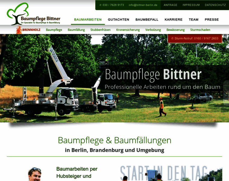 Baumpflege-baumfaellung.de thumbnail