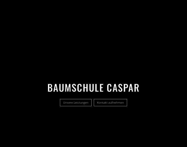 Baumschule-caspar.de thumbnail