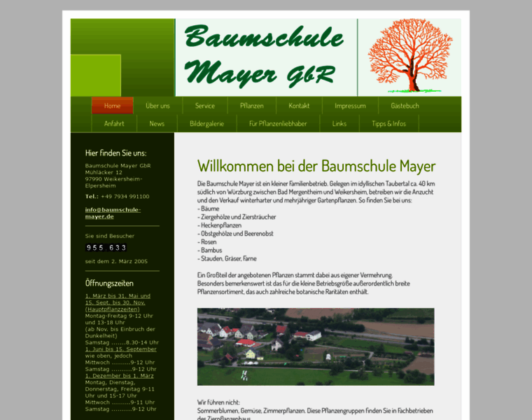 Baumschule-mayer.de thumbnail