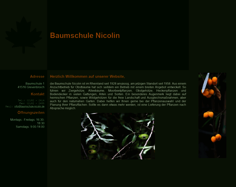 Baumschule-nicolin.de thumbnail
