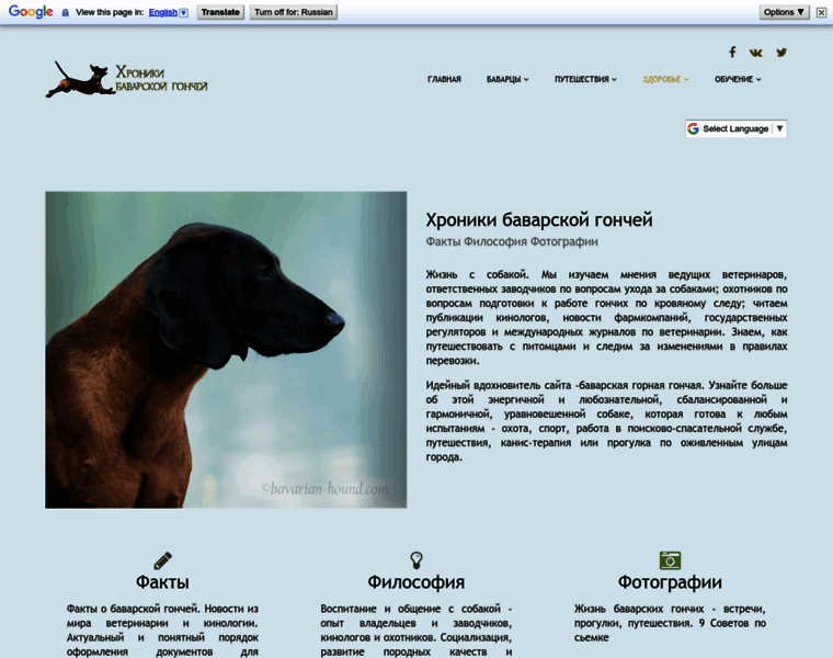 Bavarian-hound.com thumbnail