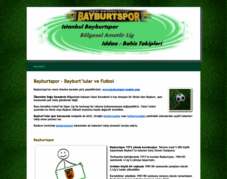 Bayburtspor.com thumbnail