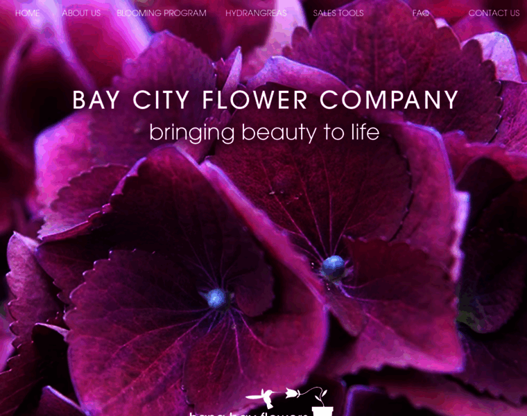 Baycityflower.com thumbnail