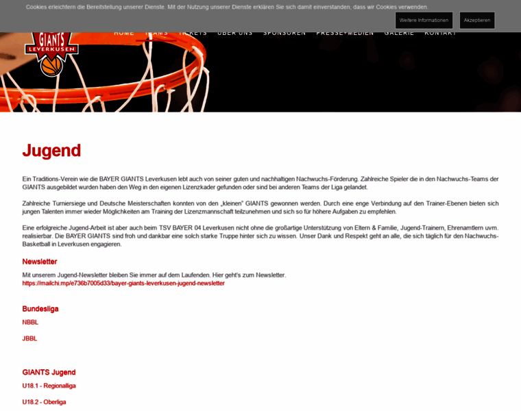 Bayer-basketball.de thumbnail