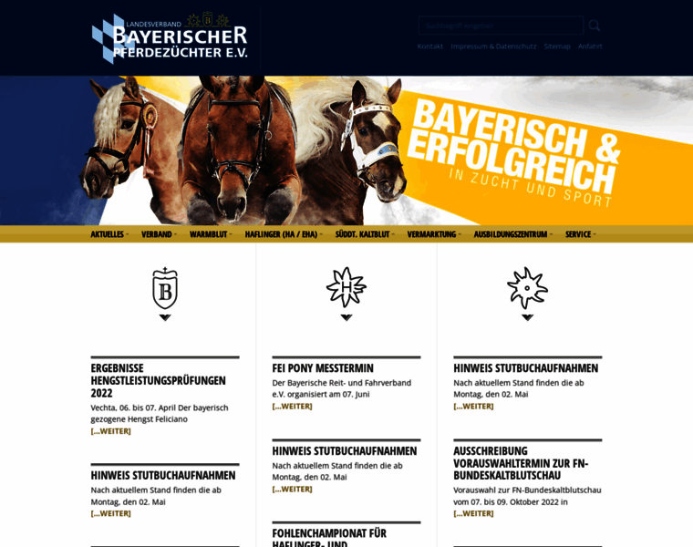 Bayerns-pferde.de thumbnail