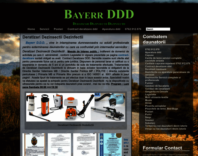 Bayerr.ro thumbnail