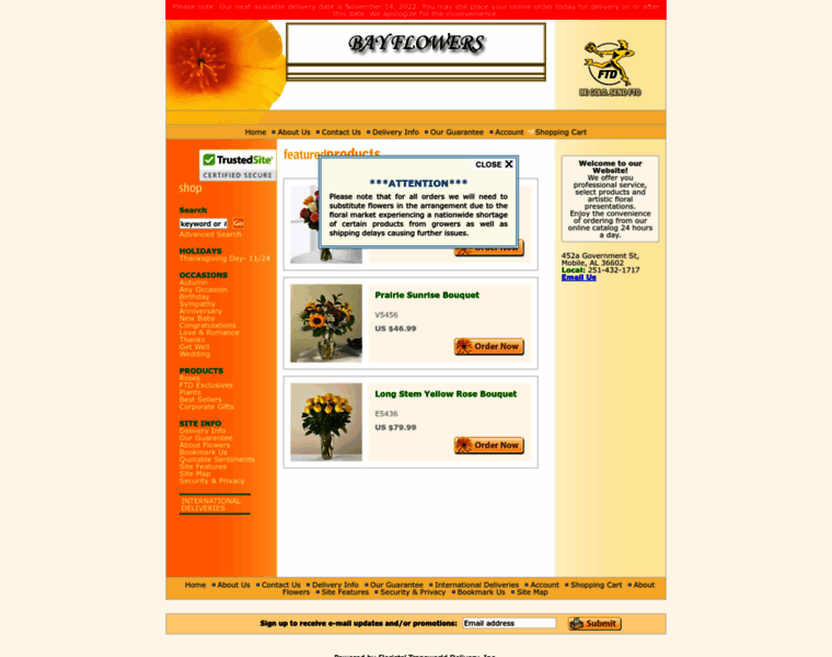 Bayflowers.net thumbnail