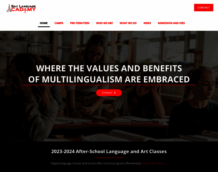 Baylanguages.com thumbnail
