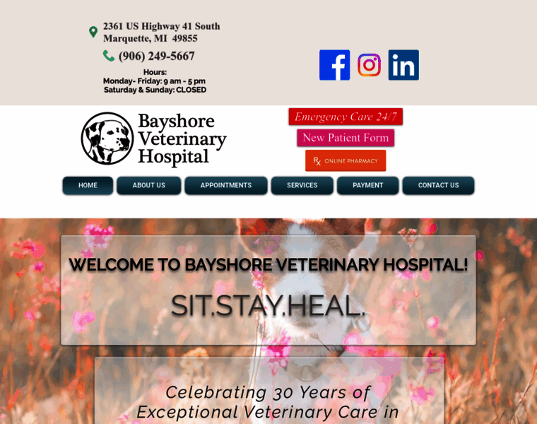 Bayshorevethospital.com thumbnail