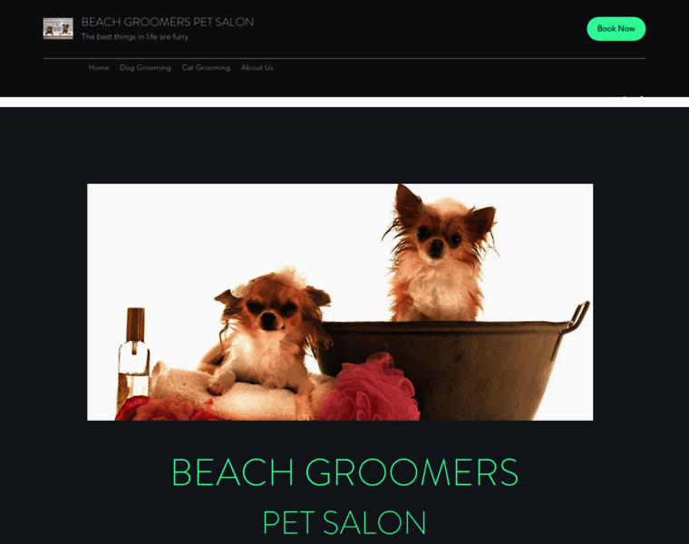 Beach-groomers.com thumbnail