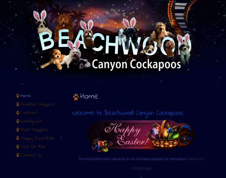 Beachwoodcanyoncockapoos.com thumbnail