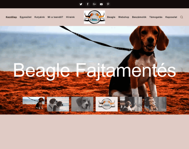 Beagle-fajtamentes.hu thumbnail