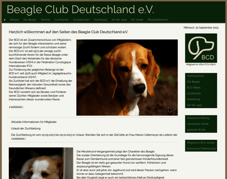 Beagleclub.de thumbnail