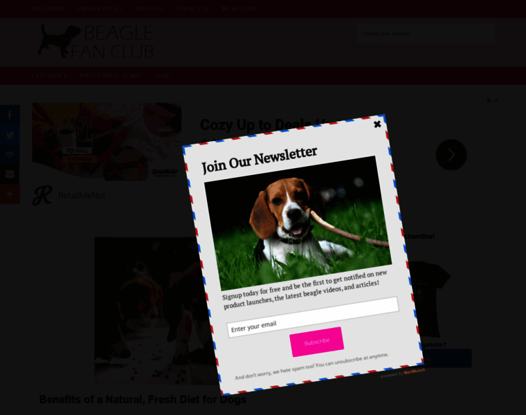 Beaglefanclub.com thumbnail