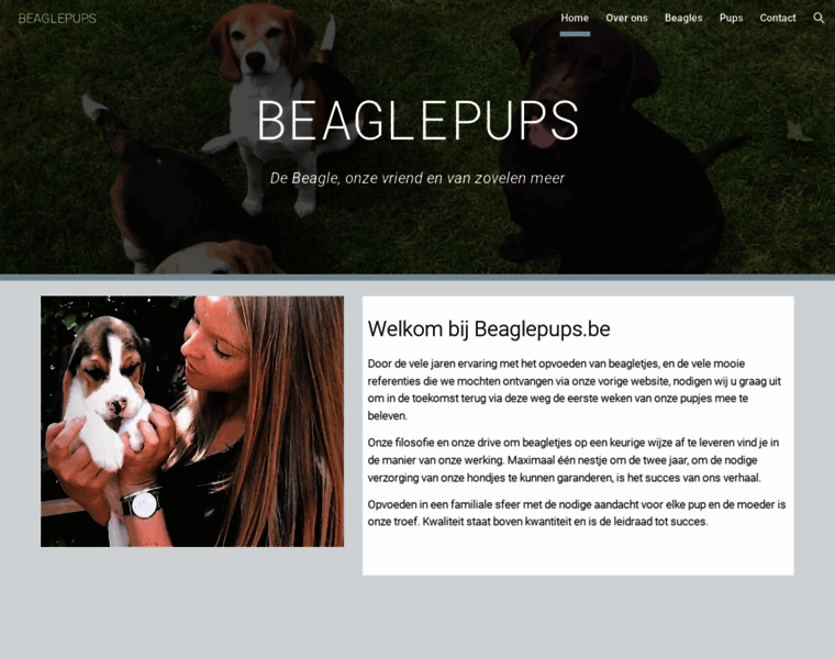 Beaglepups.be thumbnail