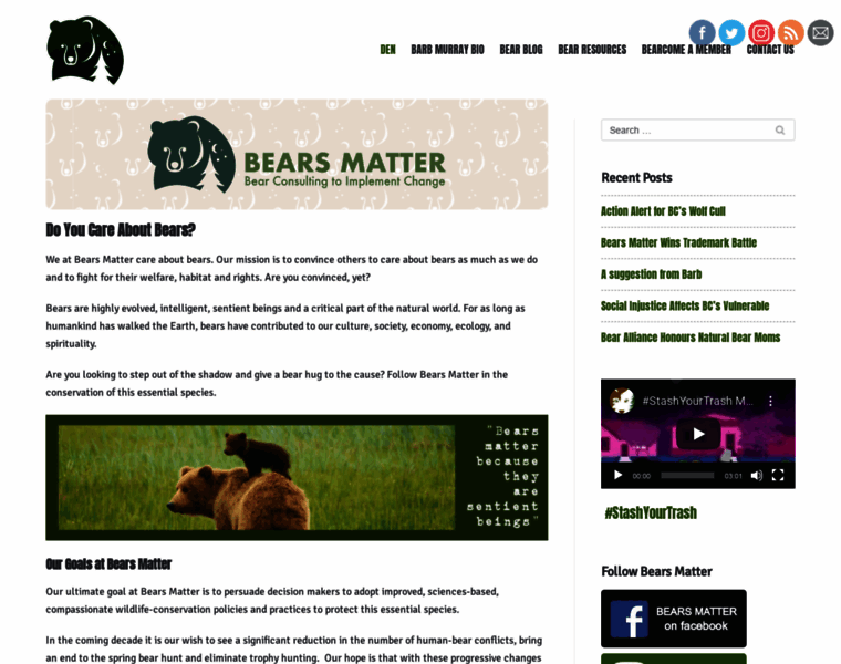 Bearmatters.com thumbnail