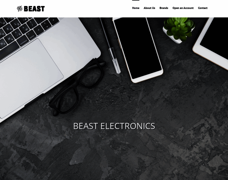 Beastelectronics.com thumbnail