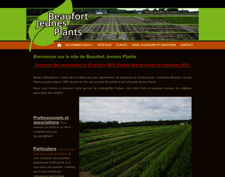 Beaufort-jeunes-plants.fr thumbnail