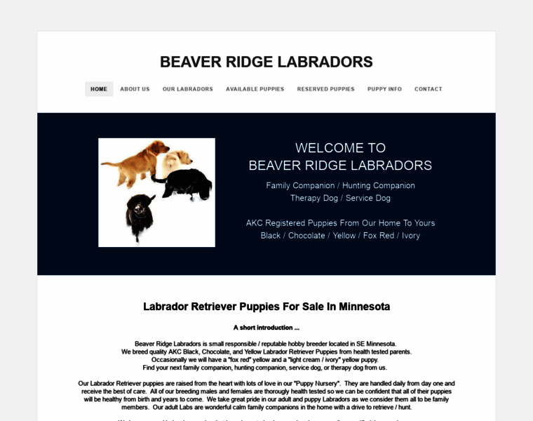 Beaverridgelabradors.com thumbnail