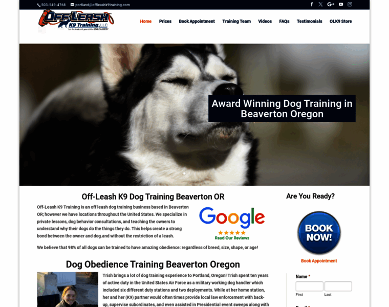 Beavertondogtrainers.com thumbnail