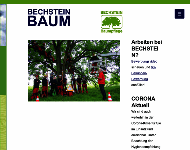 Bechstein-baum.de thumbnail