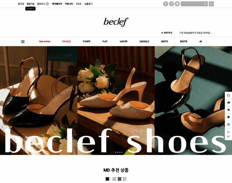 Beclef.co.kr thumbnail