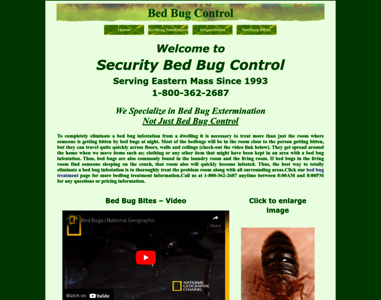 Bed-bug-treatment-bed-bugs-control-ma.com thumbnail
