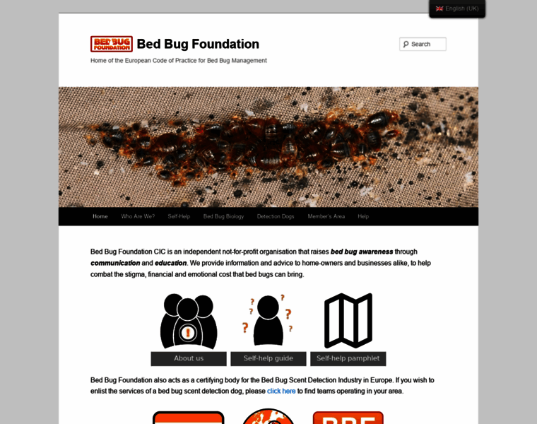 Bedbugfoundation.org thumbnail