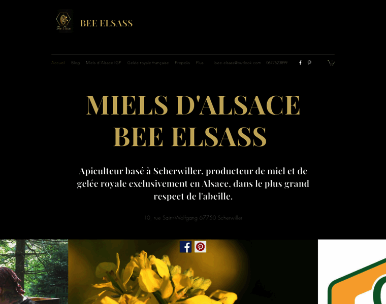 Bee-elsass.com thumbnail