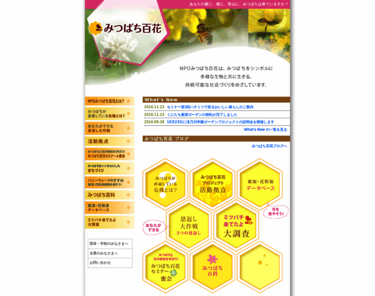 Bee-happy.jp thumbnail