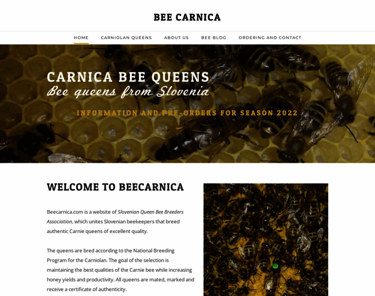 Beecarnica.com thumbnail