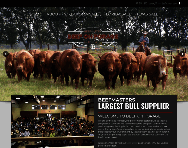 Beefmasterbullsale.com thumbnail
