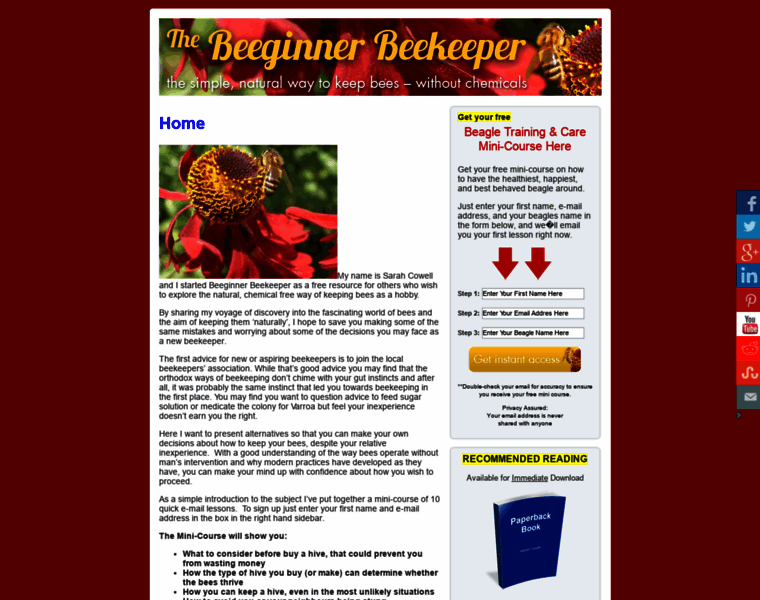 Beeginnerbeekeeper.com thumbnail