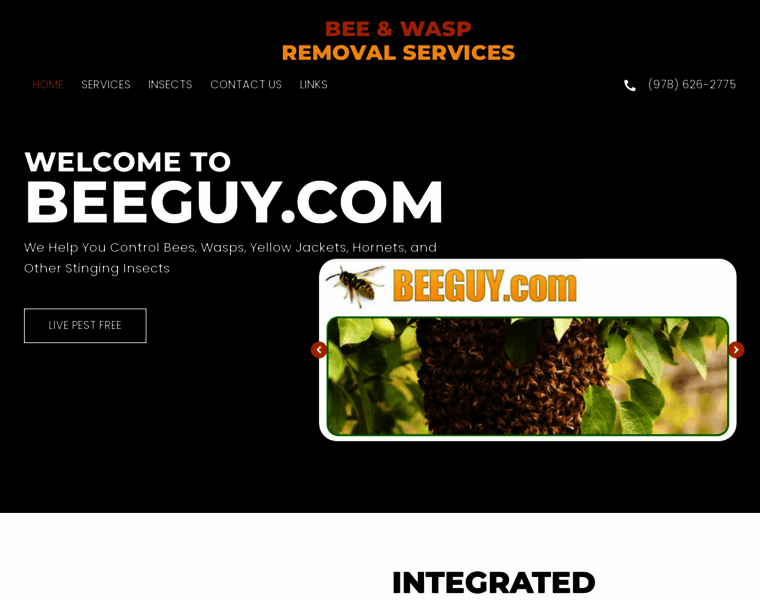 Beeguy.com thumbnail